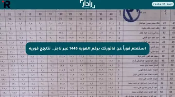 استعلم فوراً عن فاتورتك برقم الهوية 1446 عبر ناجز.. نتائج فورية